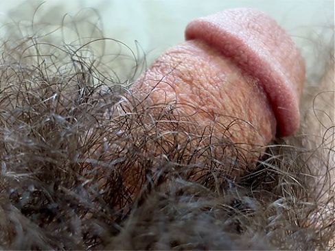 For the fur covered devotees - close up views of my lil shaft in a forest of fur plus j/o and fleshlight fuckfest