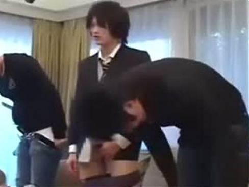 Japanese Teddy Romp